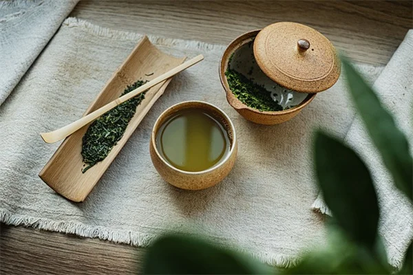 気候変動で植物が移動している？園芸家が今すぐできる5つの対策
