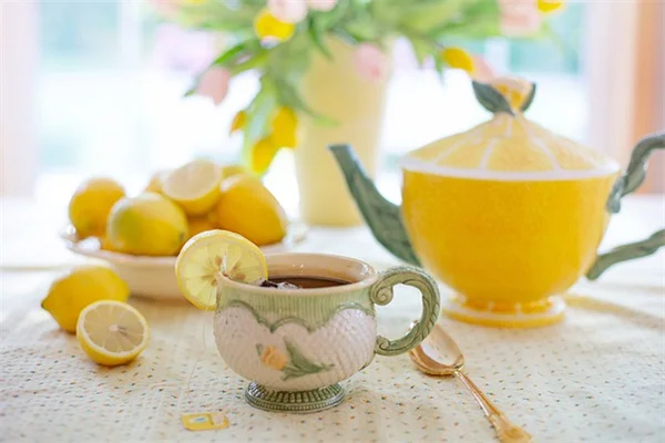 夏でもほうれん草は育つ？ おすすめ品種と育て方のコツ