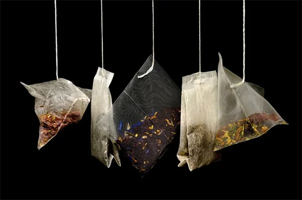 プロが教える、香草の鮮度を長持ちさせる保存テクニック