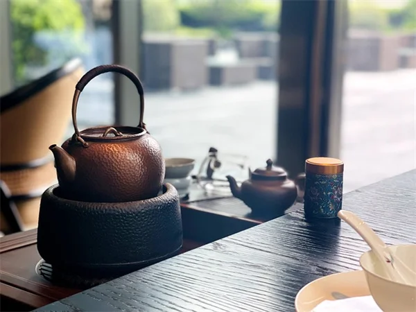 枝先が茶色いのはセミのせい？5分でわかる原因と見分け方